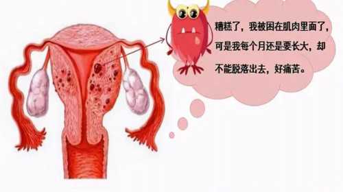 上海世纪助孕陆仁嘉_广州世纪助孕官网,无锡哪个医院可以借精 无锡妇幼做人工